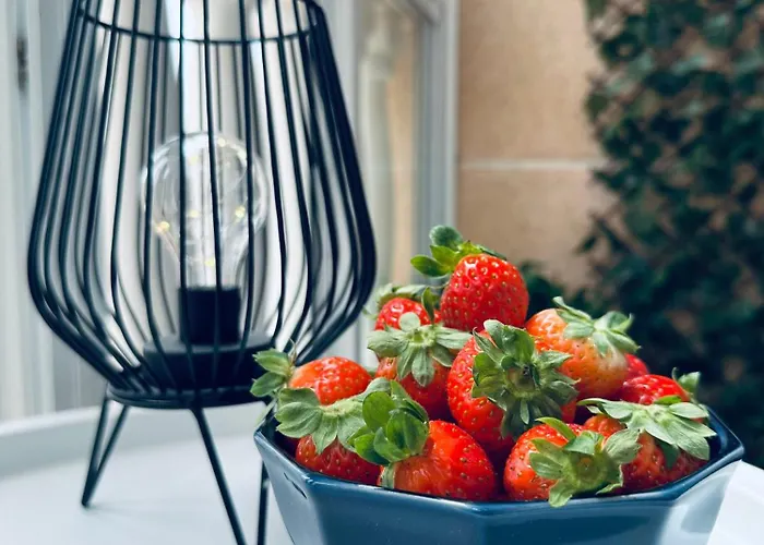 Apartment Palm Garden Torrevieja