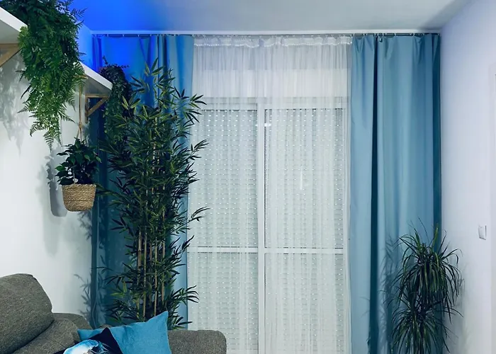 Palm Garden * 托雷维耶哈