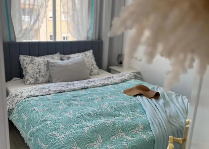 Palm Garden 托雷维耶哈